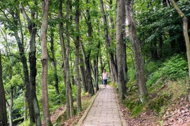 定海海山公园晨起锻炼,午间日光浴,饭后散步正是踏青郊游爬山的好去处