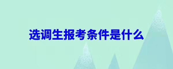 應屆生注意選調生的上岸幾率真的很大