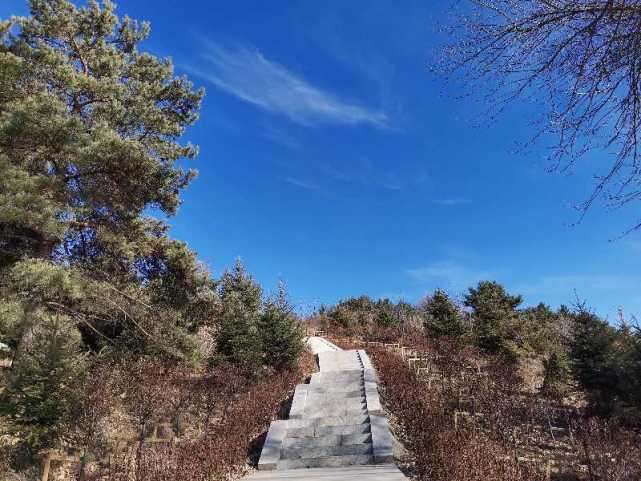 吉林市桃源山公园项目图片