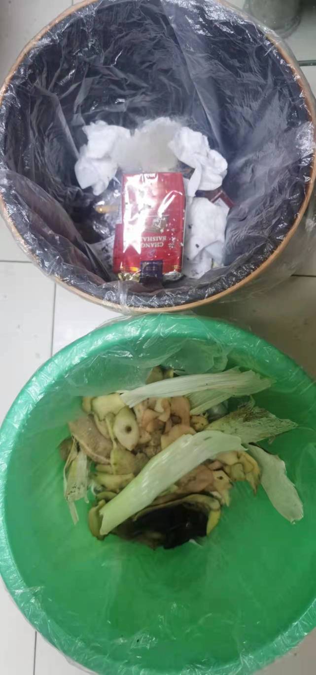 垃圾分类成效显著呼兰家庭厨余垃圾日分出量持续攀升