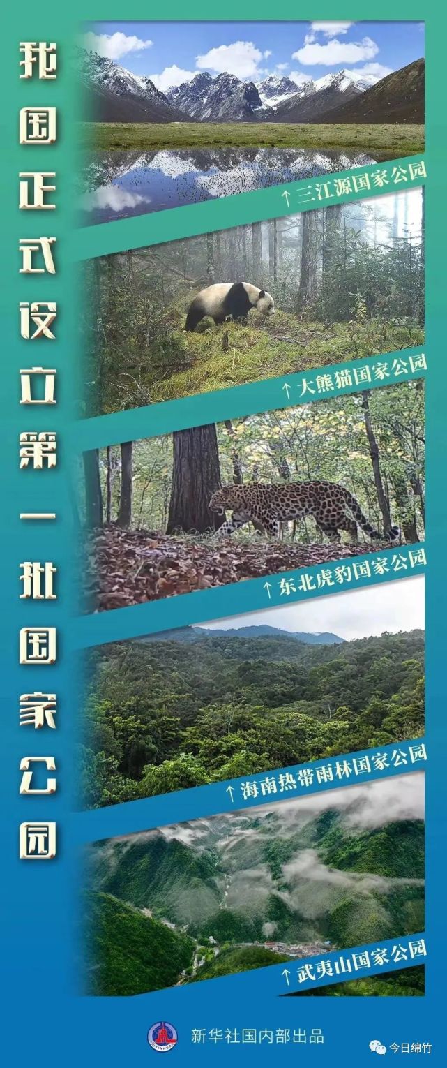 重磅绵竹入圈中国熊猫谷项目被纳入国家规划