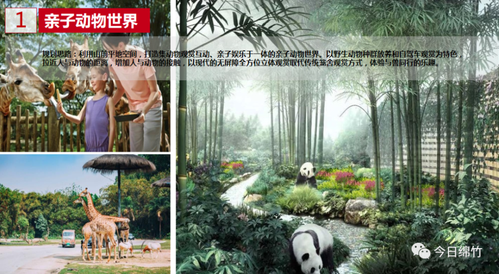 绵竹"入圈",中国熊猫谷项目被纳入国家规划