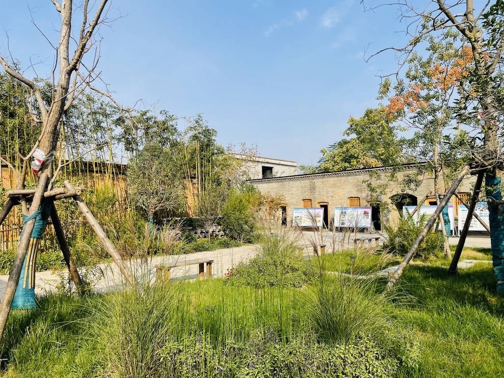 小康路上 豫你乡遇|荥阳市张庄村:数字化乡村"点亮"幸福生活