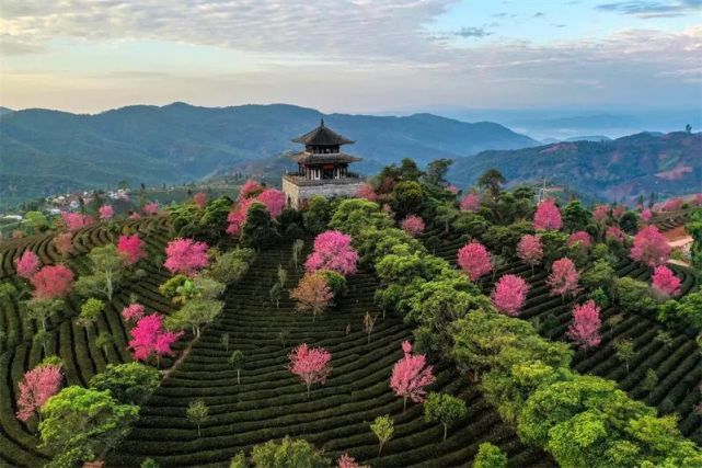 一天一点普洱(2282)好消息!普洱市入选第二批国家文化和旅游消费试点