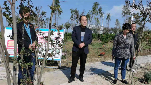 镇平县晁陂镇人大:督民生实事进度,促镇域发展成效