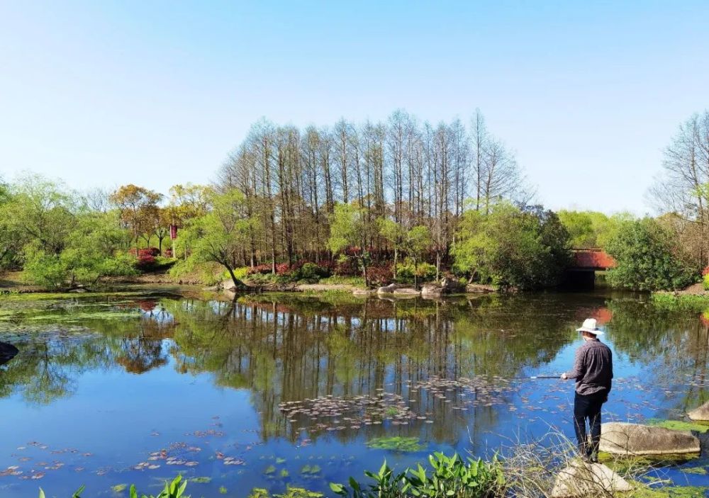 龚凌逸《盛世花开》王斯怡《日落江湖白》朱芸《1348》退休干部