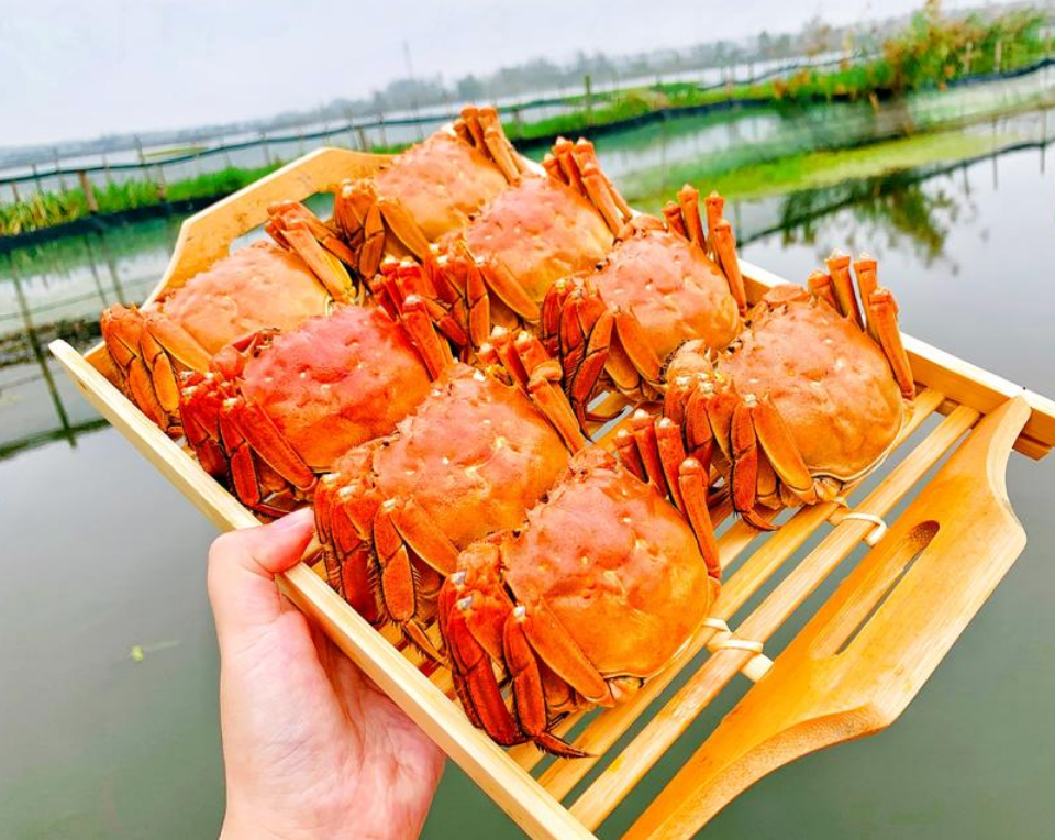 蟹缘宝应湖大闸蟹buy热卖推荐原料精选"美人红"莲藕,藕香浓郁;煎炸炒