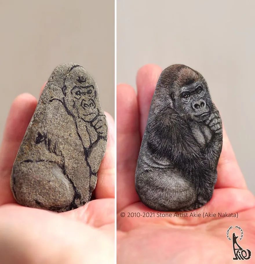 日本艺术家在石头上画画,栩栩如生的小动物,可爱到不行_腾讯新闻