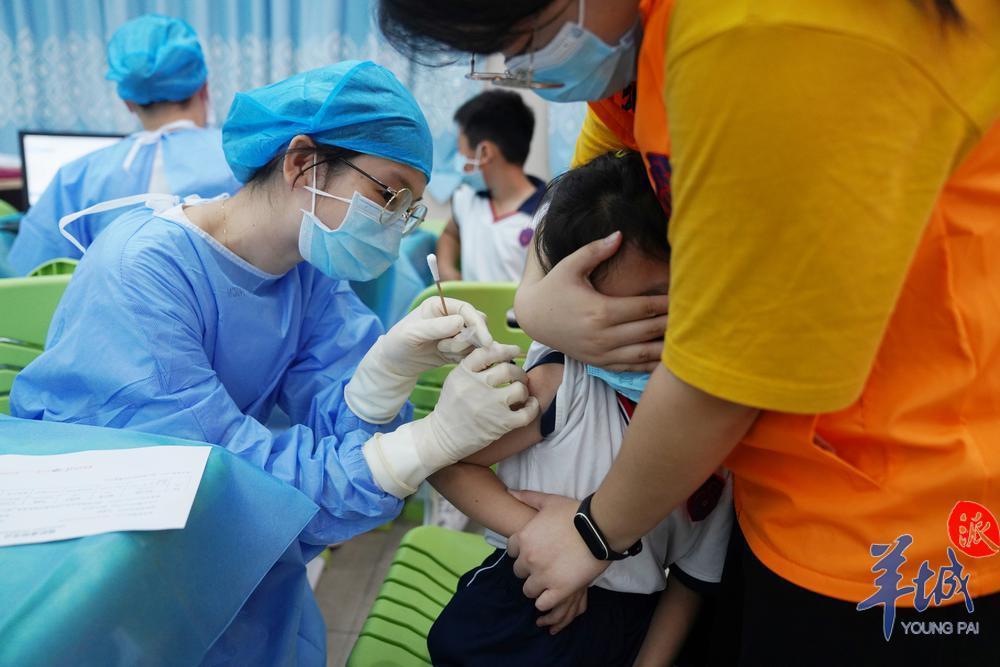 图集小学生淡定勇敢直击广州海珠311岁人群新冠疫苗接种