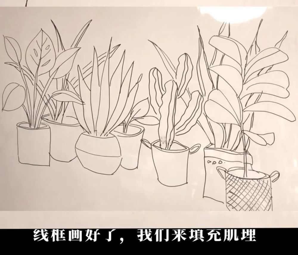 画法拆解教你7种简笔画ins风植物