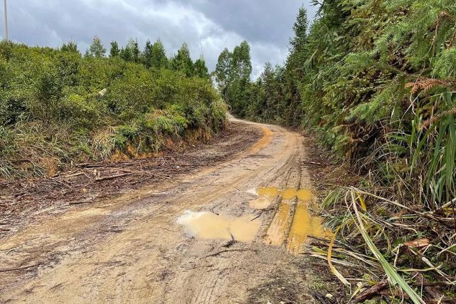 网络问政记者追踪一条泥巴路缘何无法硬化