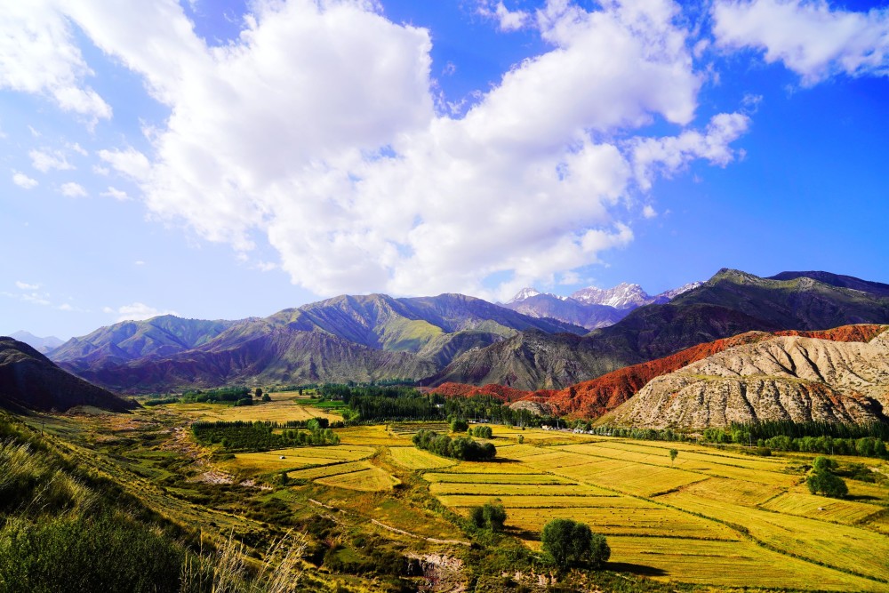 新疆温宿县温泉县入选首批全国休闲农业重点县