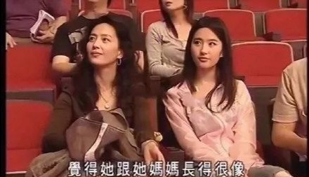 因女儿放弃事业，生活中两婚两离，为女儿刘亦菲，刘晓莉牺牲太多