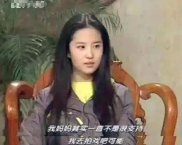 因女儿放弃事业，生活中两婚两离，为女儿刘亦菲，刘晓莉牺牲太多