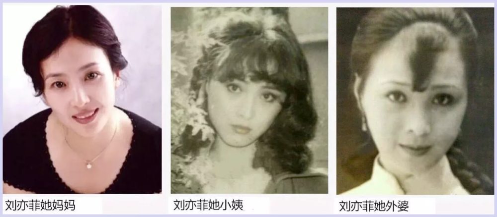 因女儿放弃事业，生活中两婚两离，为女儿刘亦菲，刘晓莉牺牲太多