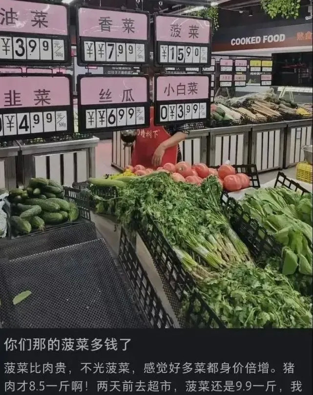 菜比肉还贵,蔬菜也要吃不起了?
