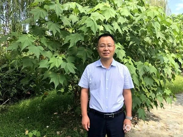 师者岳鹏一片真情讲真理