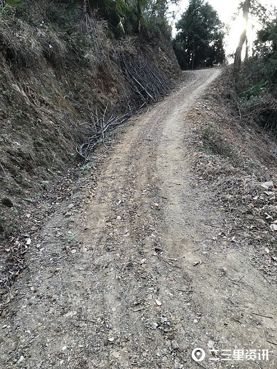 洋县一通组道路坡陡难行私家车都不敢上?镇政府:地理条件和资金限制