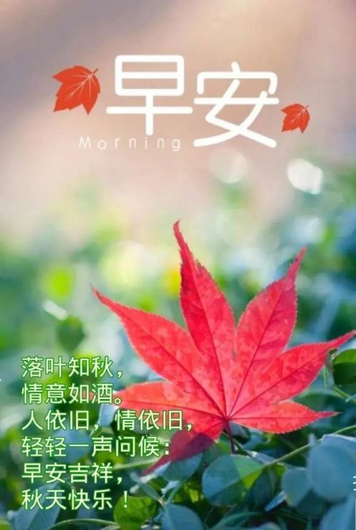 最新创意好看的秋日清晨早上好祝福图片带字,早安祝福语短信大全