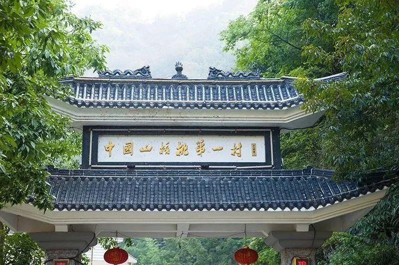 当季新鲜临安山核桃秋天这个天然脑黄金终于来啦营养是鸡蛋的5倍个大