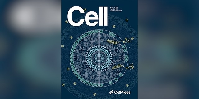 第1984期:今日cell:肠道感染如何触发"肠神经保卫战"_腾讯新闻