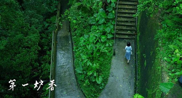 第一炉香：是张爱玲和许鞍华的艳遇，让你明白爱是燃烧的一把火