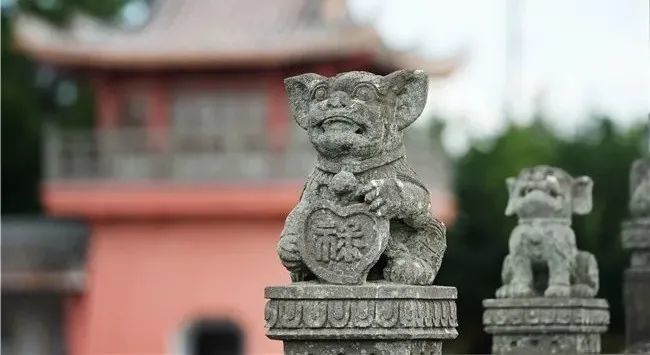 厉害了雷州石狗文化数据库正式上线