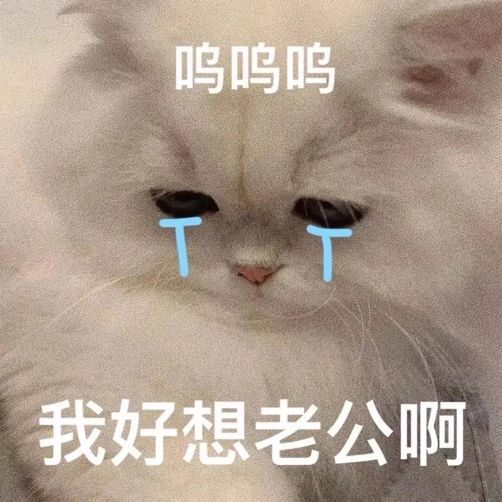 别管我我就是要哭