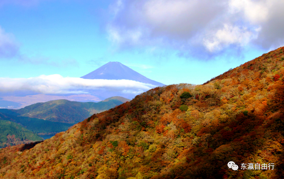 关东红叶正绚烂着呢推荐几个好去处