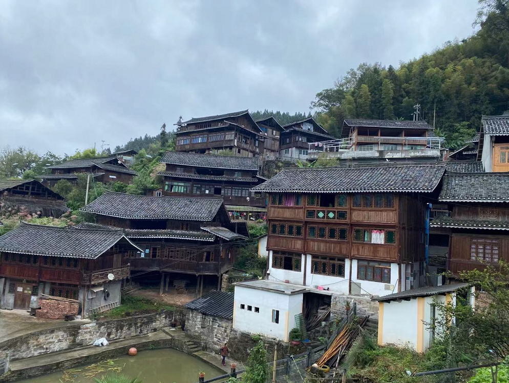 文斗苗寨一个中国传统村落的古生态文明之治