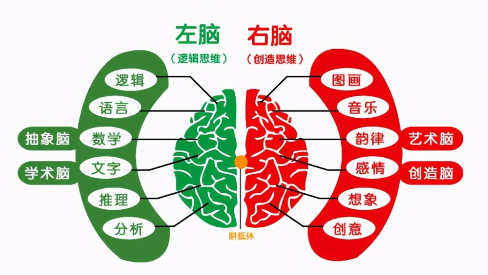 麻省理工研究表明促进儿童大脑发育的最佳方式并不是阅读