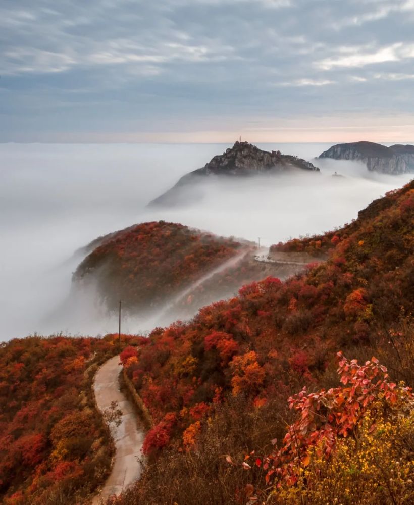 雲夢山景區的山間道路上,以黃櫨樹為主的紅葉林將景區裝扮的綺麗燦然