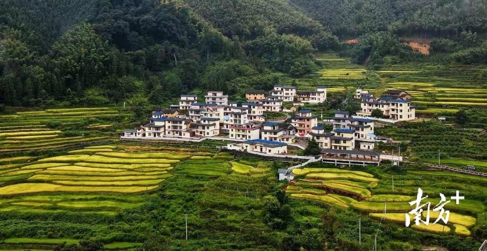 连州三水挂榜村红色绿色铺就乡村振兴路