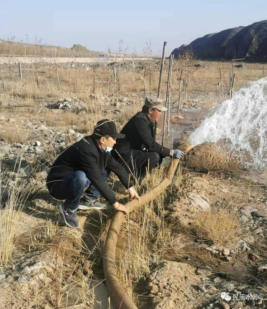 民乐县大堵麻河管理处扎实开展山水林田湖苗木秋冬灌水工作