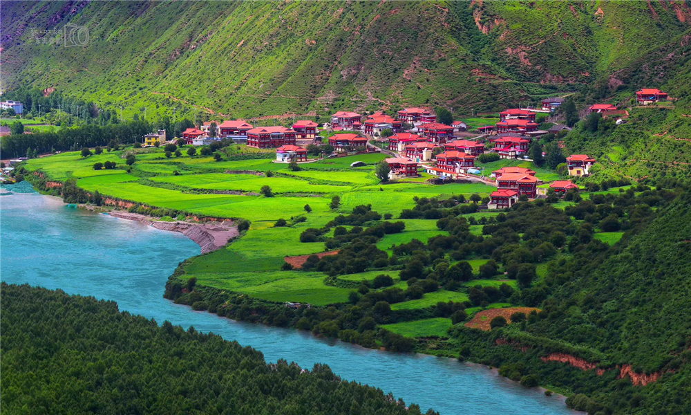 在炉霍县他第5次拍到100只以上成群黑鹳出现