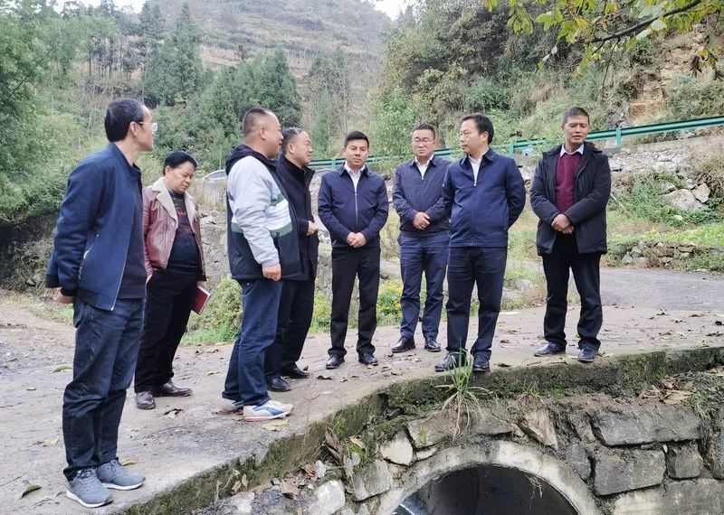 福祥砂石厂,马场镇第十七育种场,大方县城污水处理四期工程和六龙镇