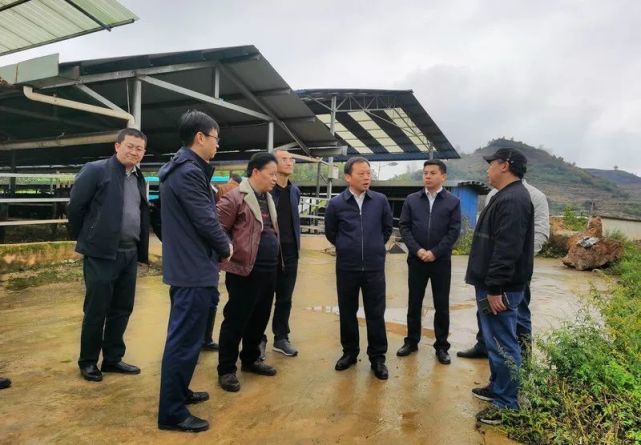 在马场镇第十七育种场调研了解有关情况陈宗俊要求,大方县要针对未