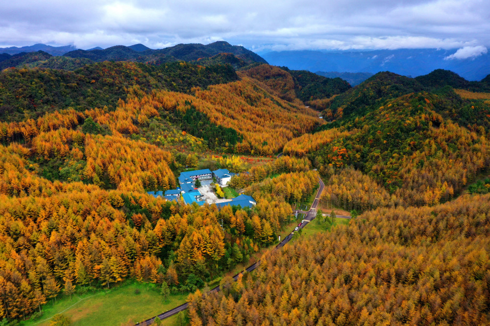 广元曾家山,满山红叶,色彩鲜艳,可与彩霞媲美!