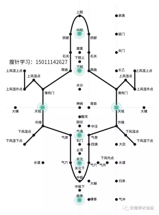 腹针定位取穴图收藏学习