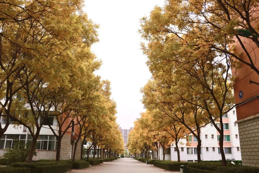山西大学:一日不见,如三秋兮_腾讯新闻