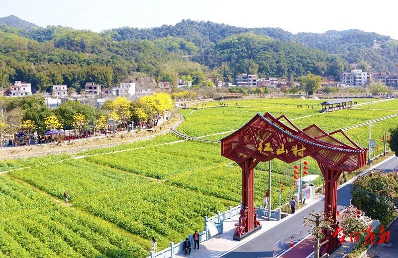 广州唯一花都这条村入选中国美丽休闲乡村