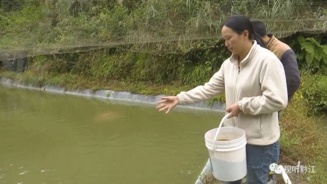 【时代楷模 跟党前行】黄凤仙:乡村振兴道路上 劳模勇当带头人