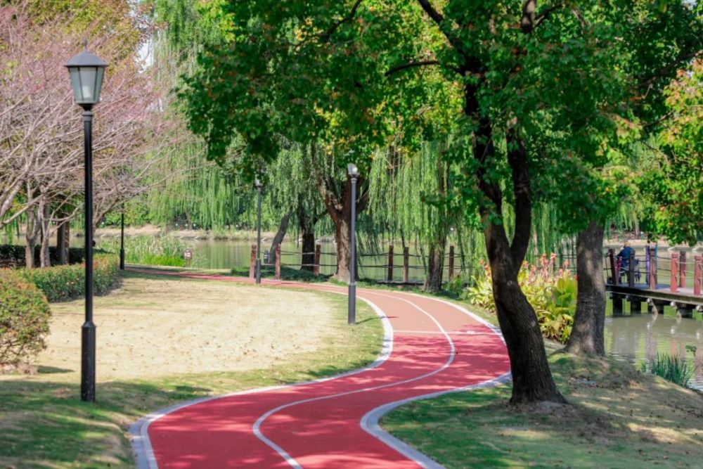表示,近年来,政府部门加强了体育场地设施建设,特别是健身步道的建设