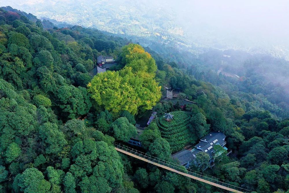 雅安云顶山风景区图片