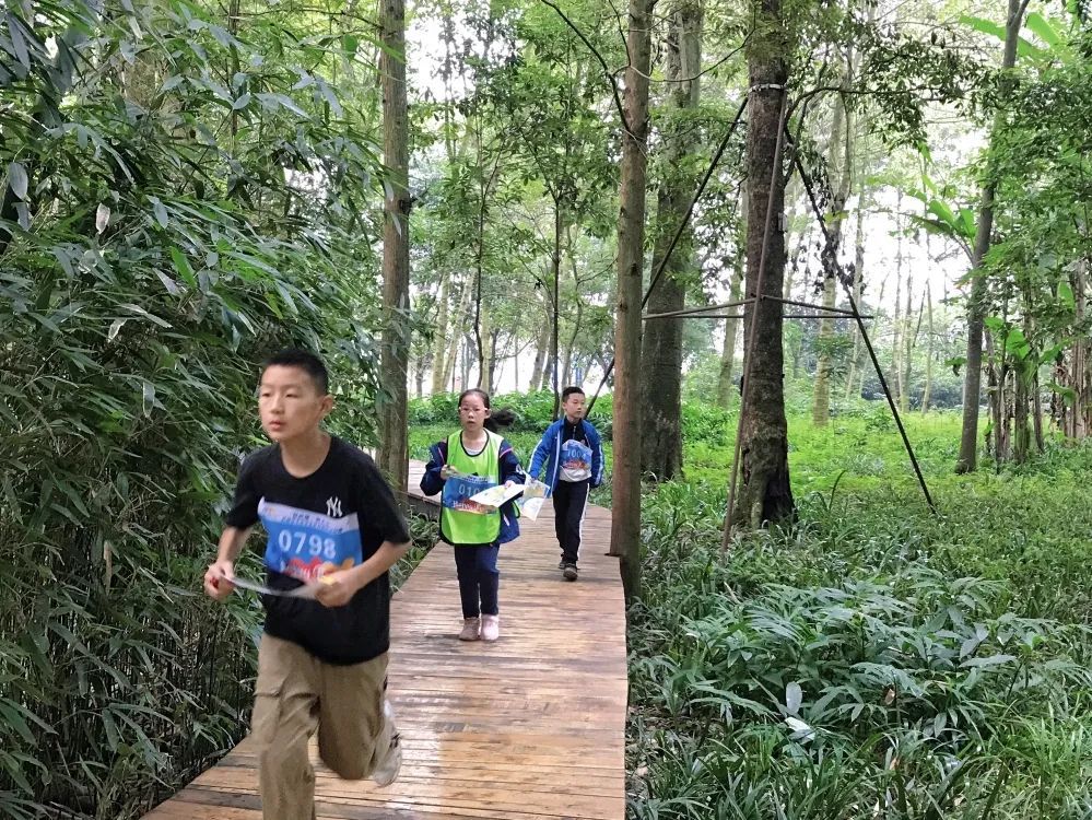 成都市青少年定向越野锦标赛在新津举行_腾讯新闻