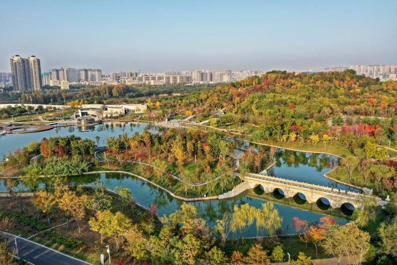 视觉陕西长安公园赏秋色