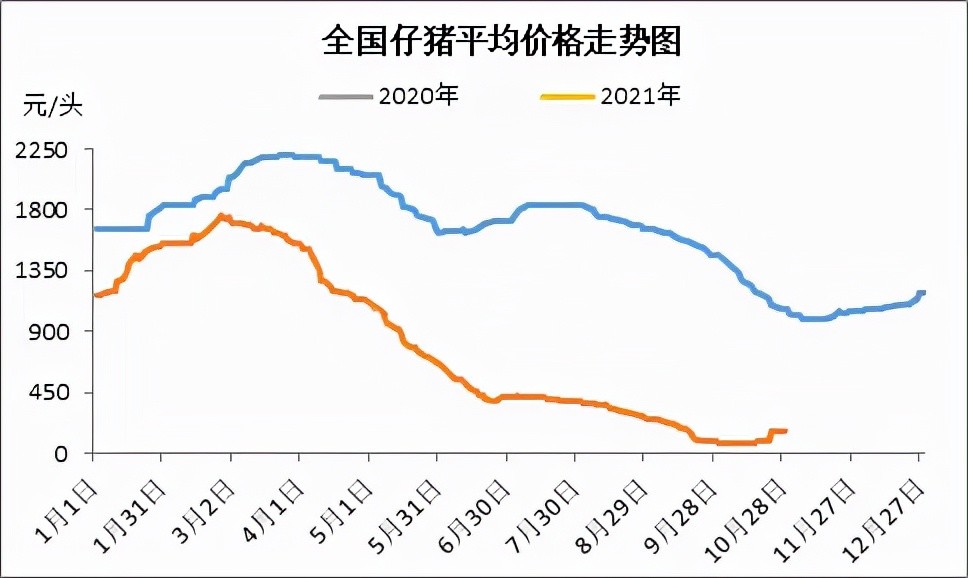 短期看受生豬行情影響,下月仔豬價格可能繼續維持高位盤整.