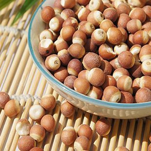 emlog文章推薦回憶城里癌蓮研究院002206海利得