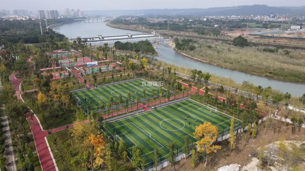体育公园挺漂亮可运动场地为何这么糙