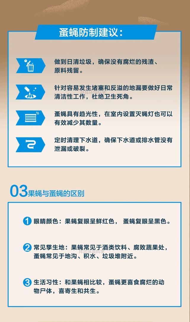 一文了解蚤蠅的種類,危害,生活習性和常見孳生地